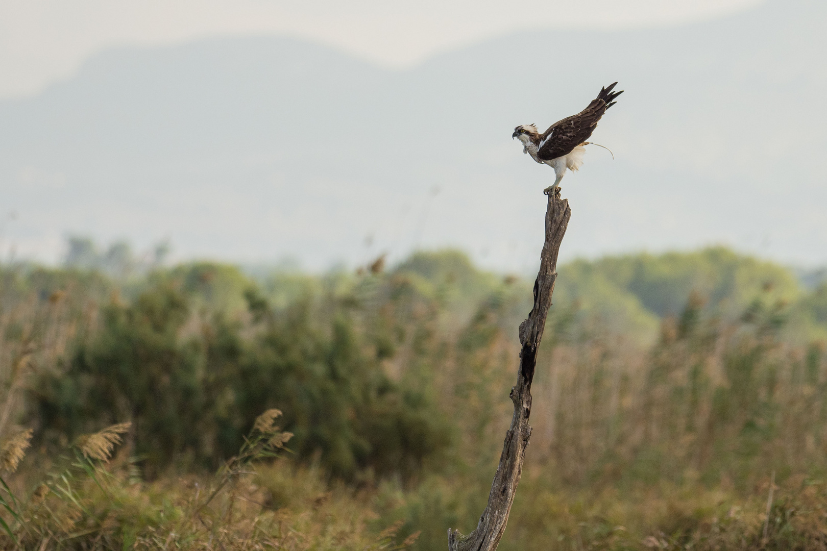 Vor dem Abflug