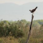 Vor dem Abflug