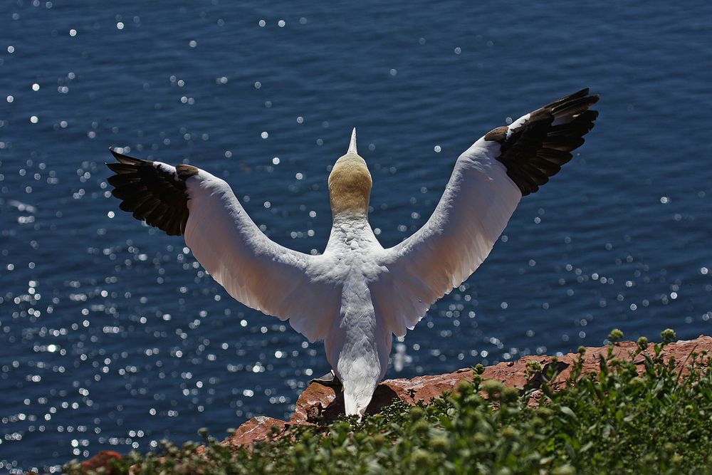 Vor dem Abflug