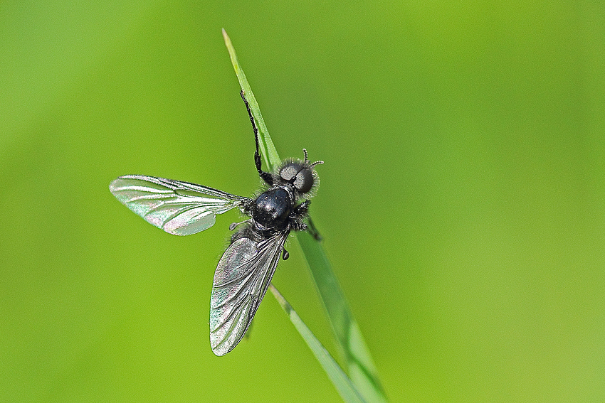 Vor dem Abflug