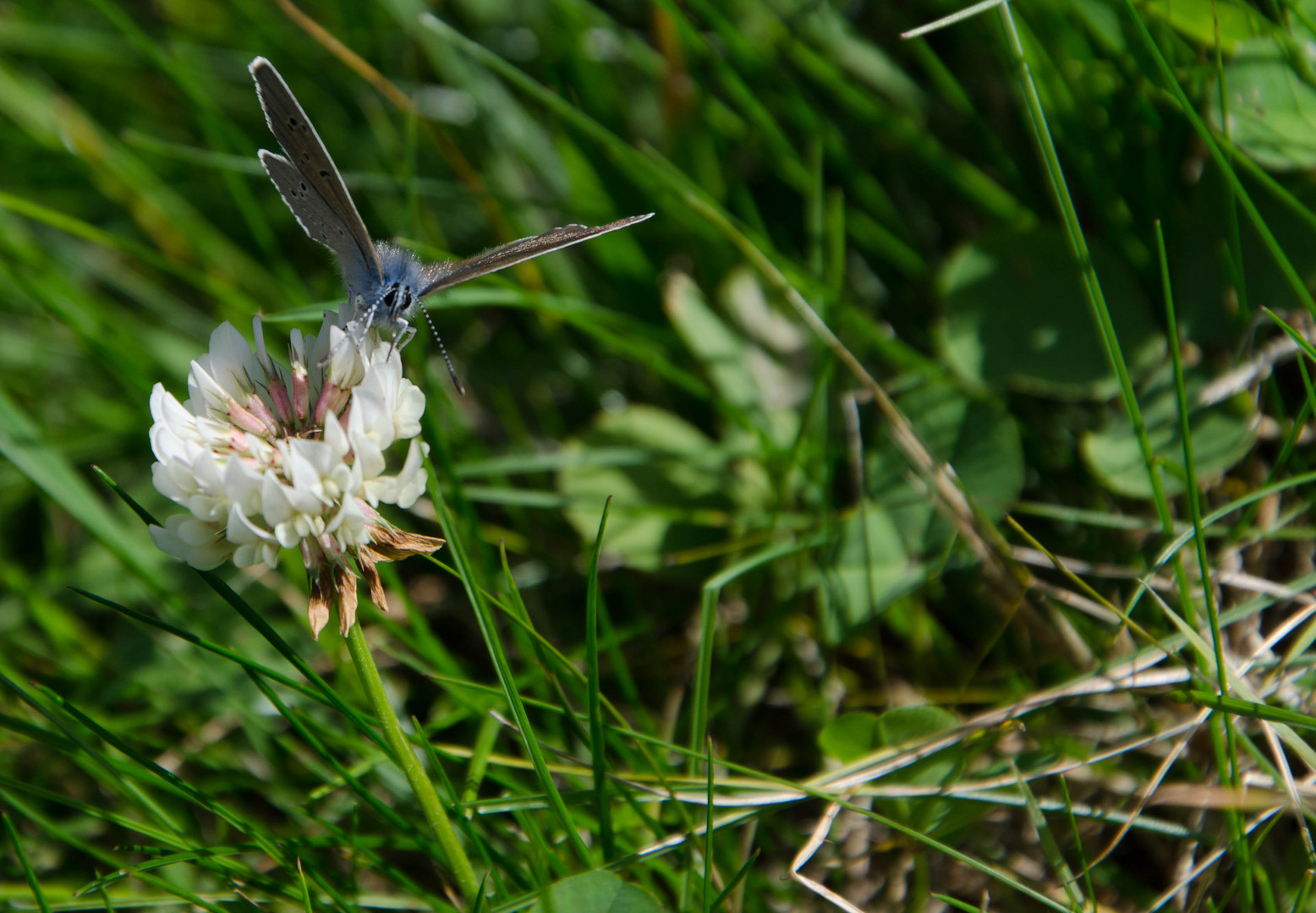 Vor dem Abflug