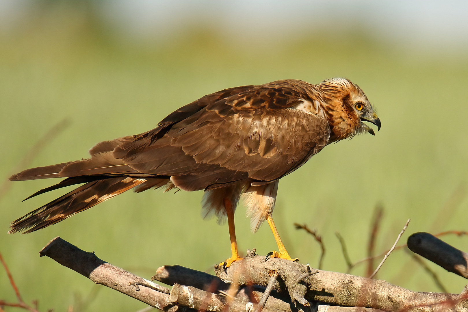 Vor dem Abflug