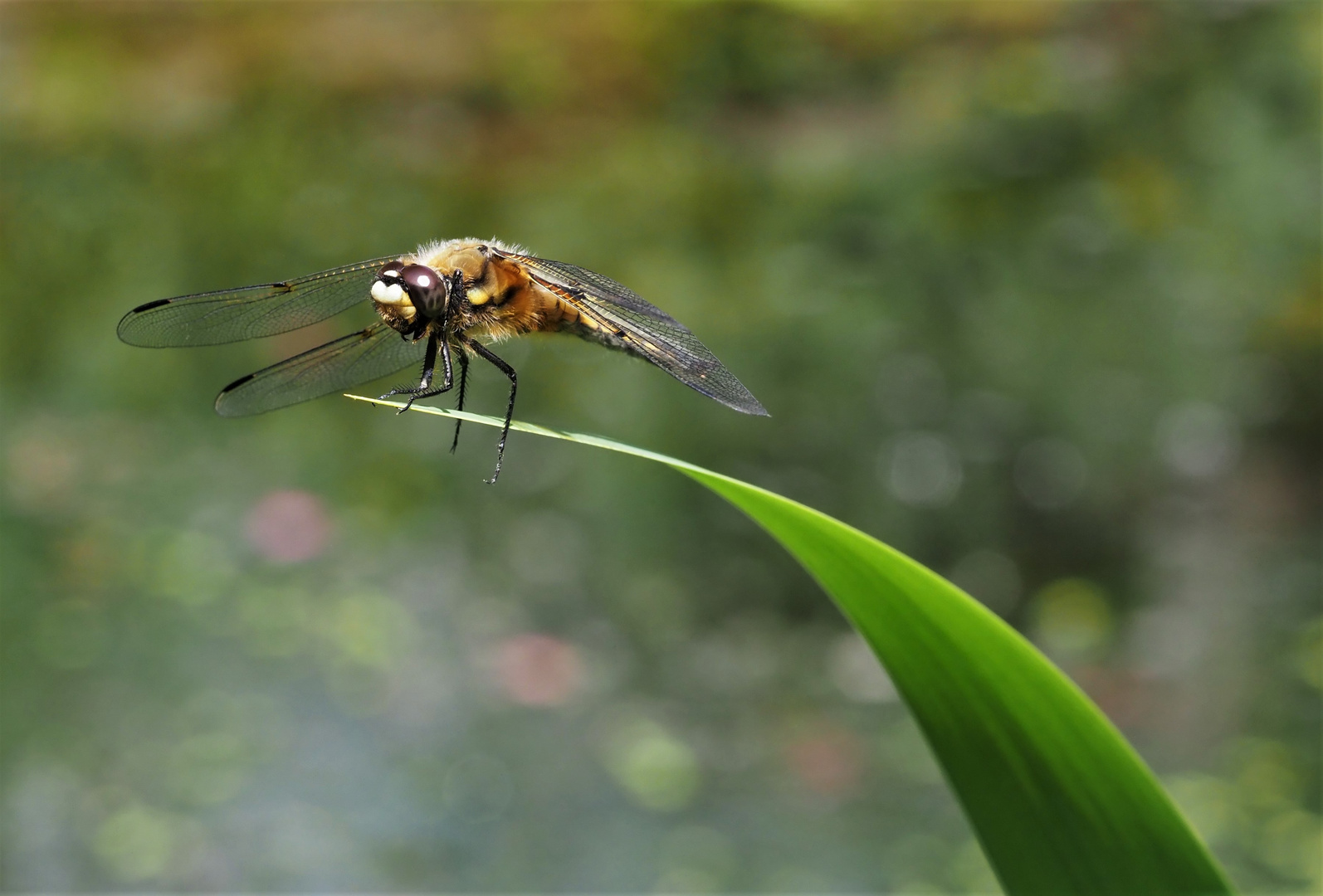 Vor dem Abflug