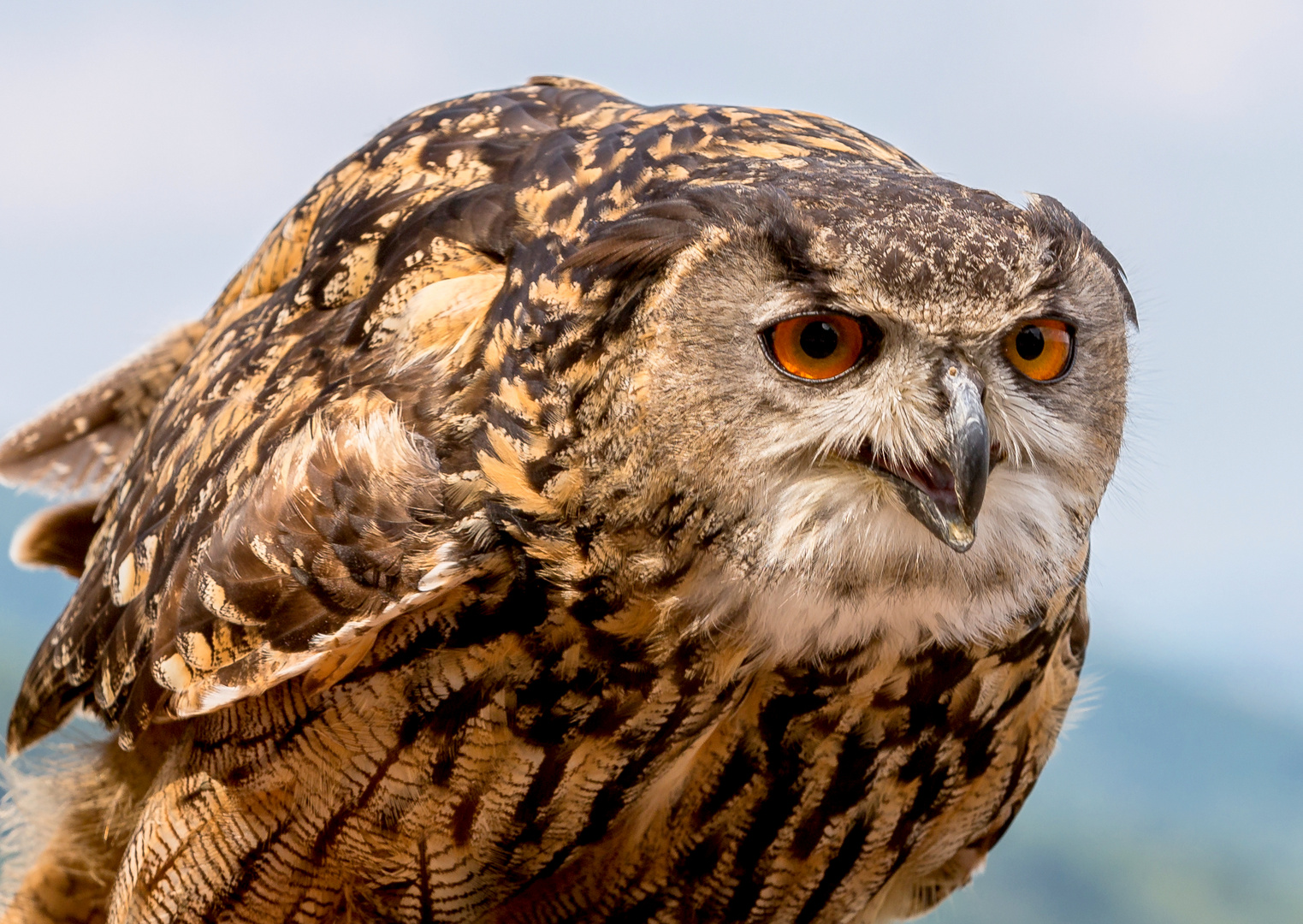 vor dem Abflug