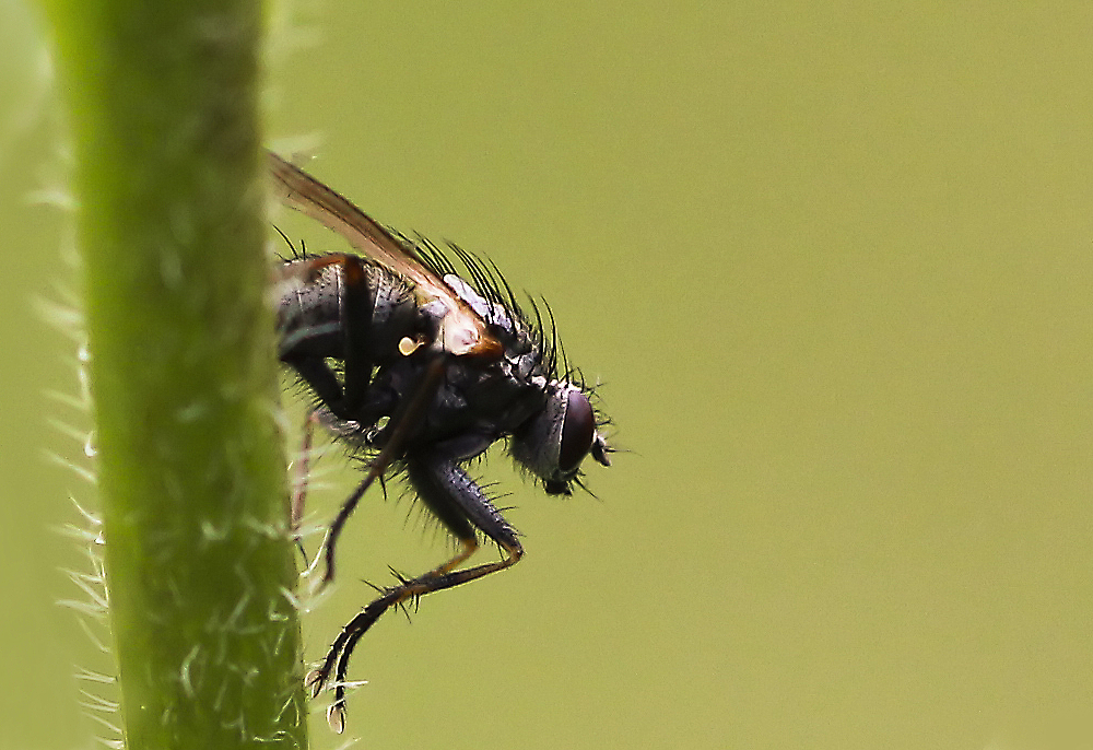 Vor dem Abflug