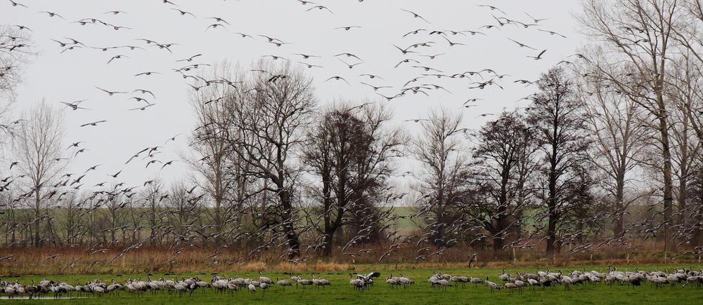 vor dem Abflug