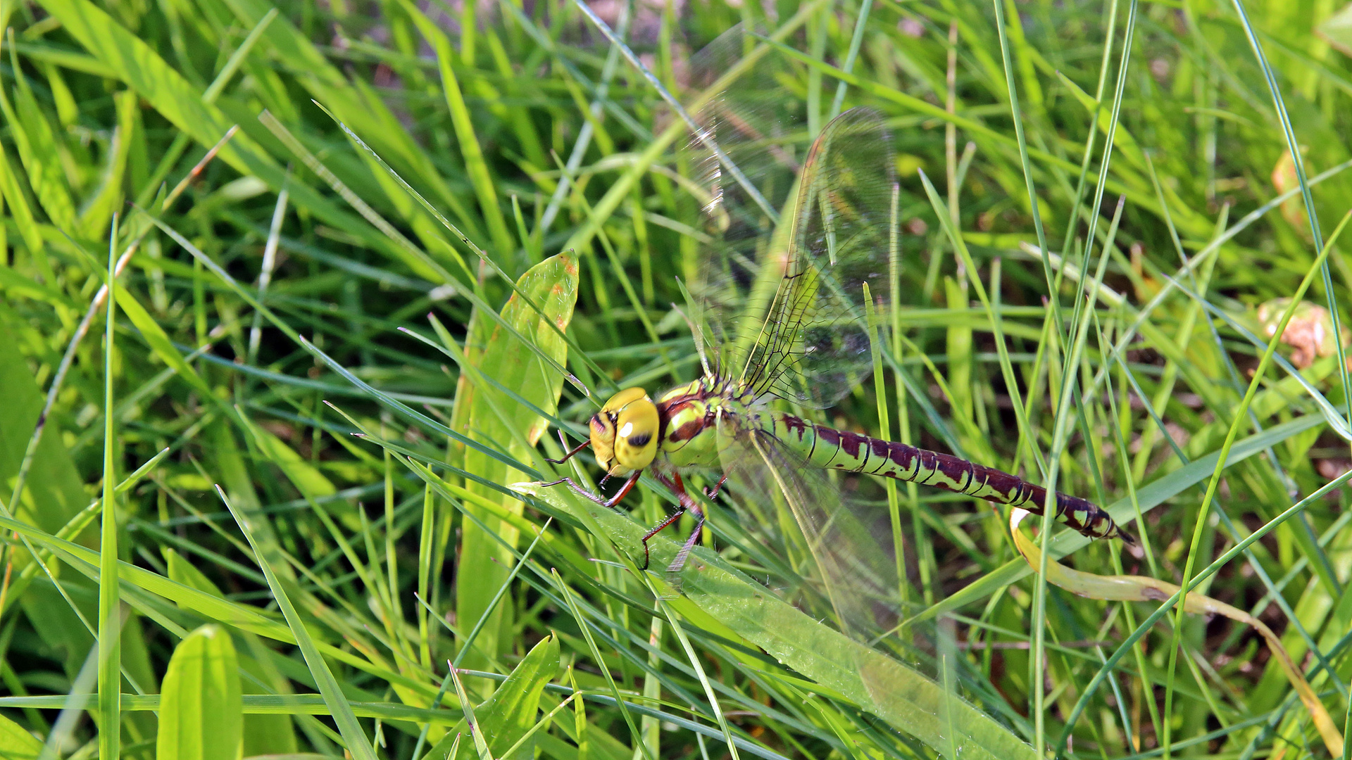 vor dem Abflug erst warm laufen lassen