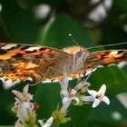 vor dem abheben - before taking off