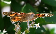 vor dem abheben - before taking off