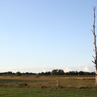 Vor dem allerletzten Sturm