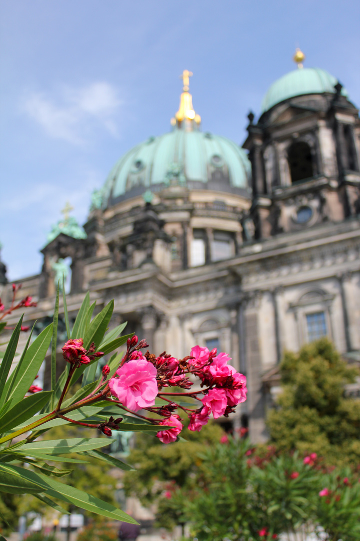 Vor dem Berliner Dom