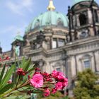 Vor dem Berliner Dom