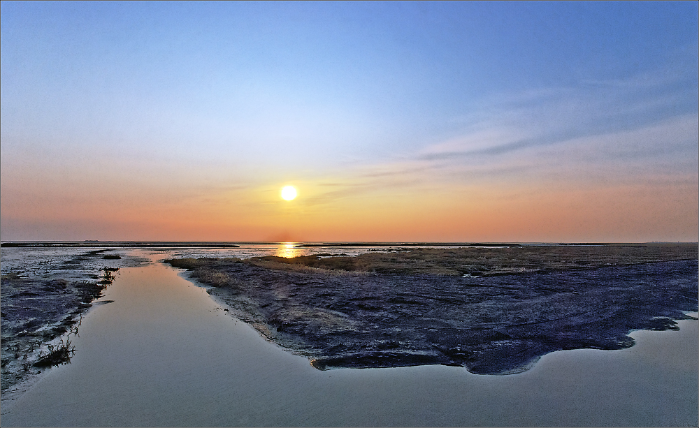 Vor dem Deich - im Vorland