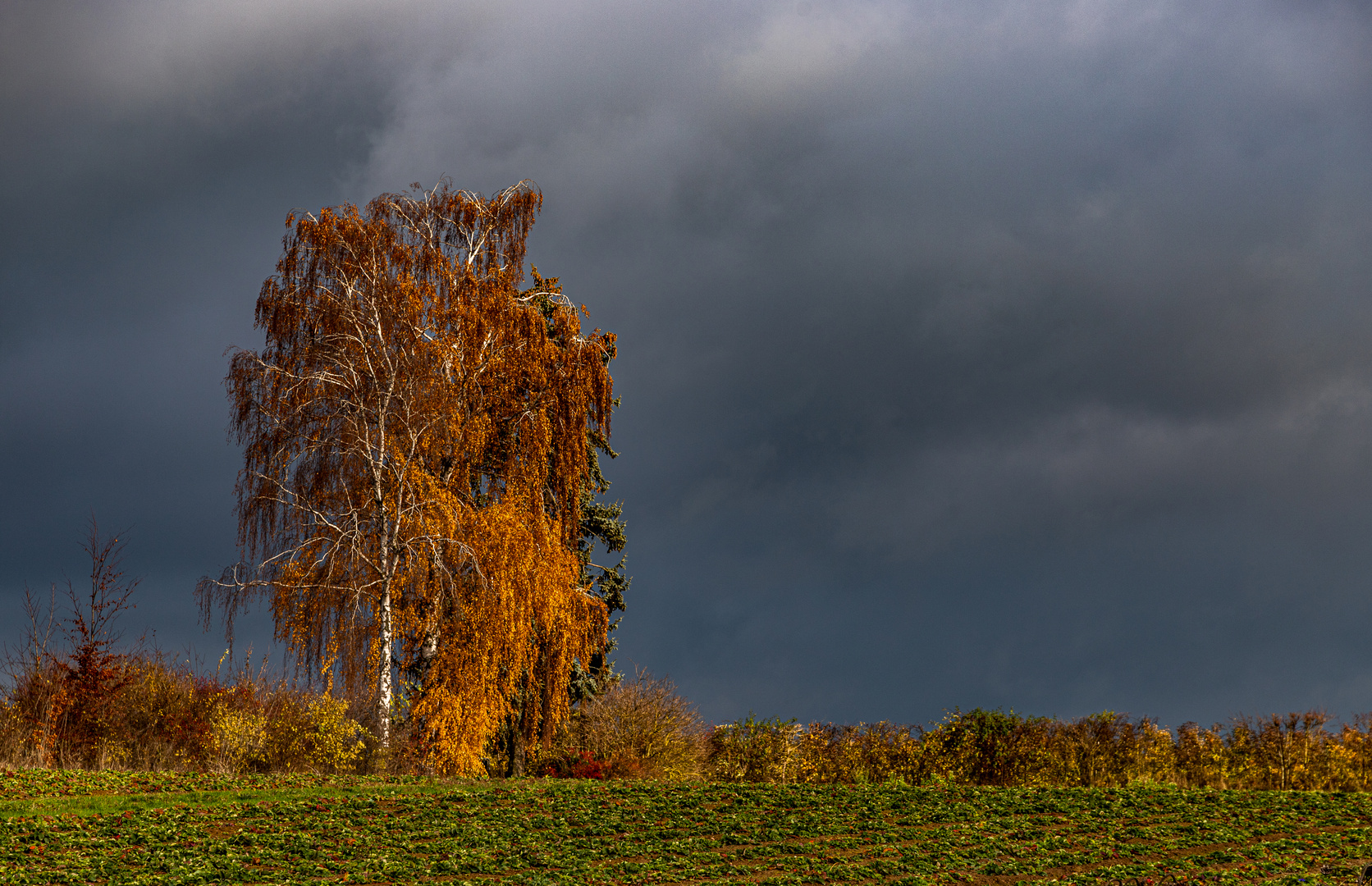 Vor dem dunklen Himmel