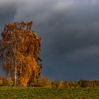 Vor dem dunklen Himmel