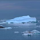 vor dem eisberg kaum zu erkennen