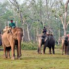 Vor dem Elefantenreiten im Chitwan Nationalpark in Nepals Süden
