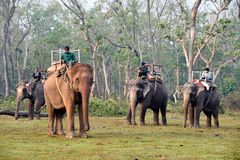 Vor dem Elefantenreiten im Chitwan Nationalpark in Nepals Süden