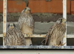 Vor dem ersten Abflug