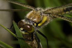 vor dem ersten Flug