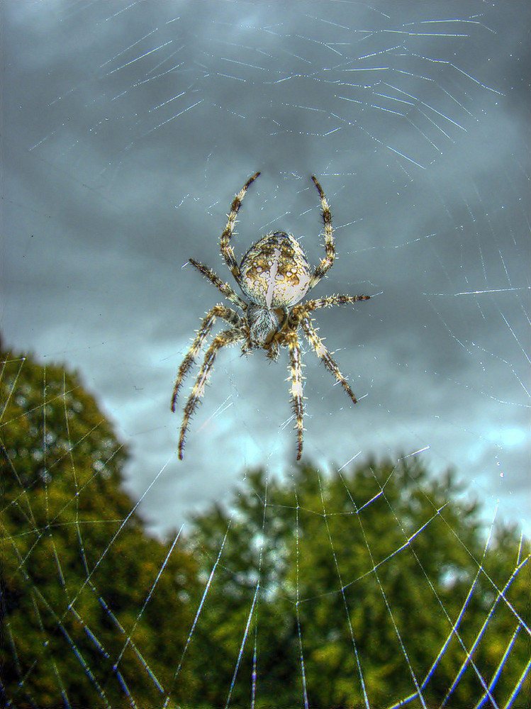 Vor dem Fenster