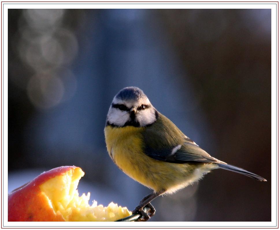 Vor dem Fenster