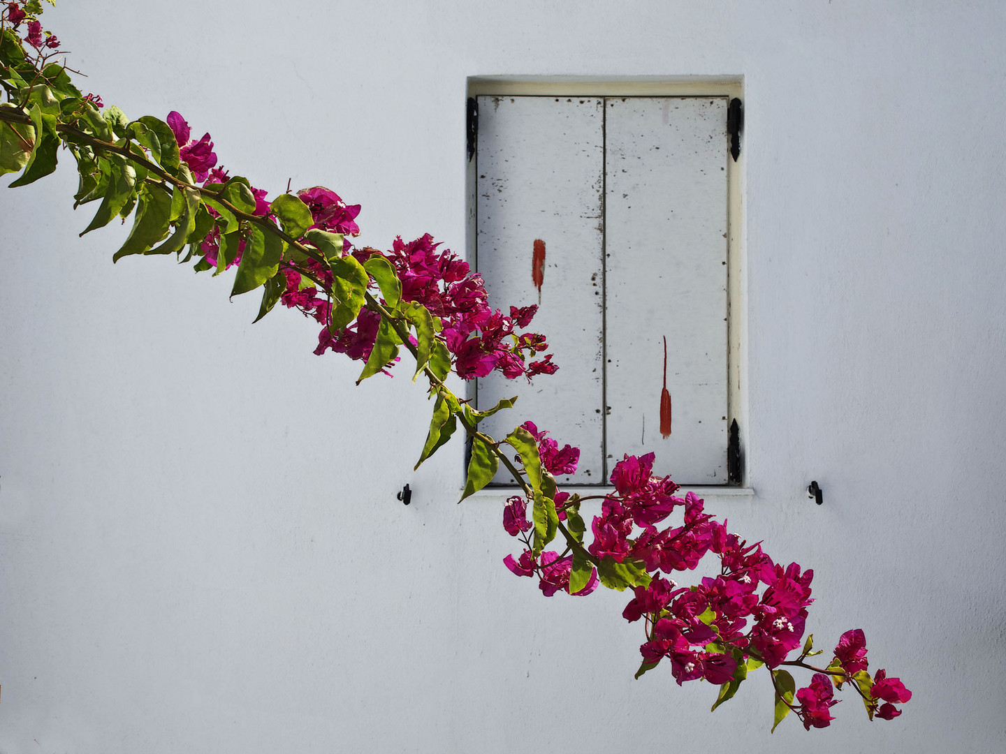 vor dem Fenster