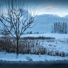 Vor dem Fenster steht der Winter