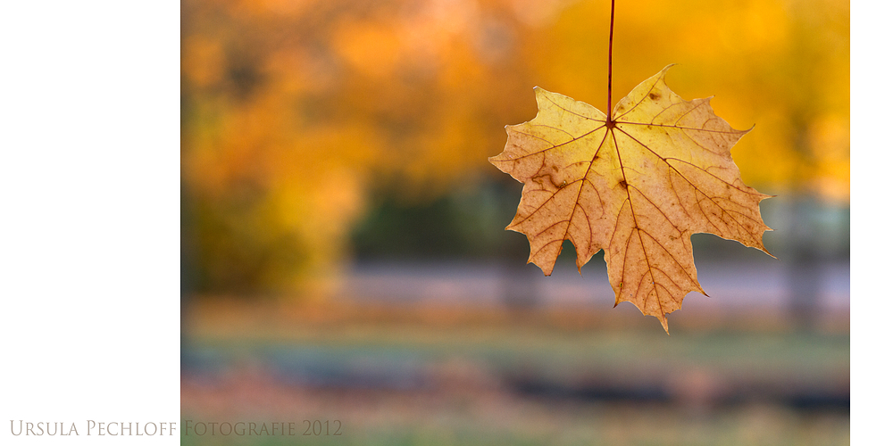 Vor dem freien Fall