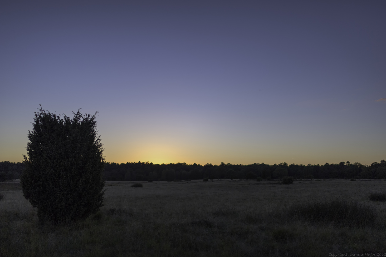 vor dem Frost