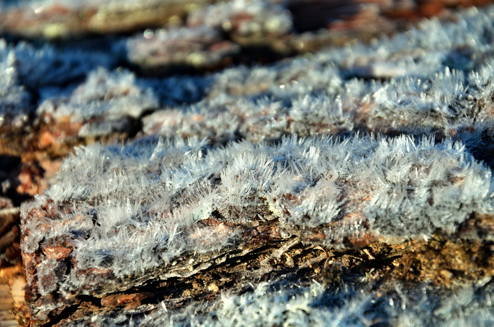 Vor dem Frost