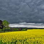 Vor dem Frühjahrssturm