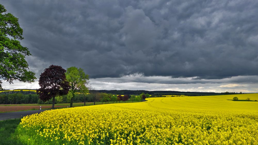 Vor dem Frühjahrssturm