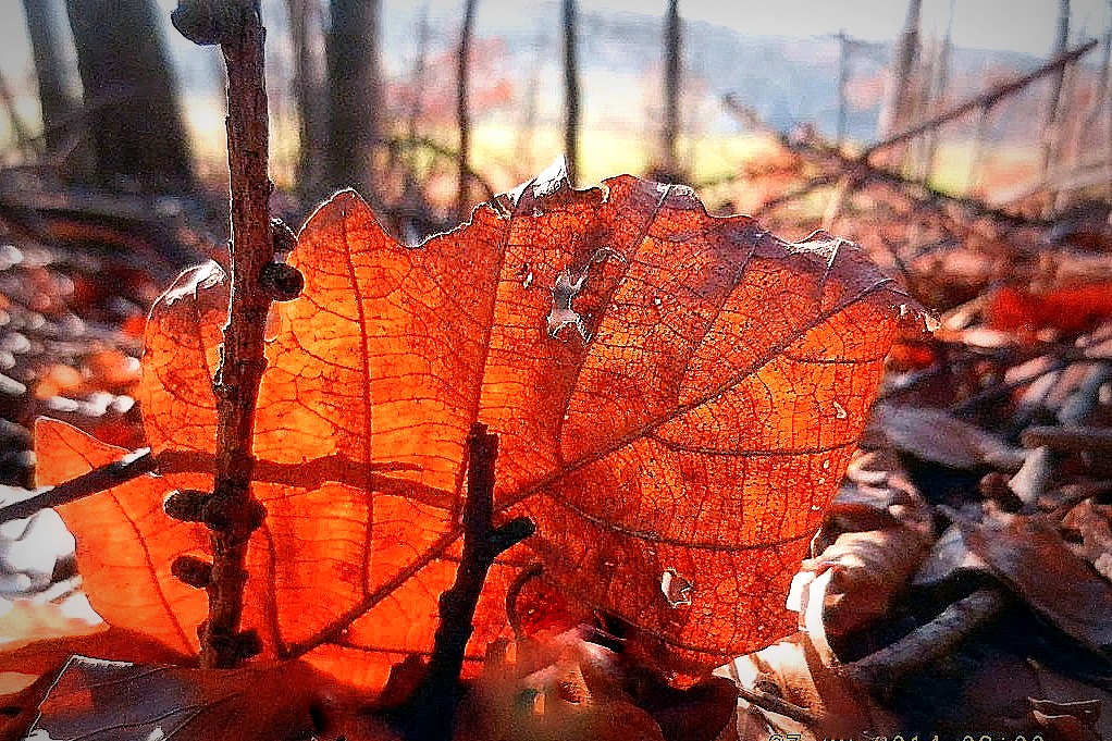 vor dem frühling