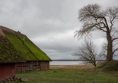 vor dem Frühling ...