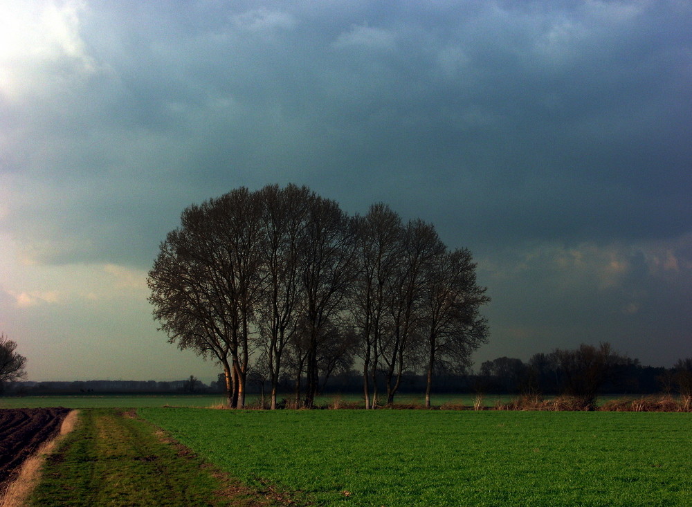 Vor dem Frühlingsregen (reload)