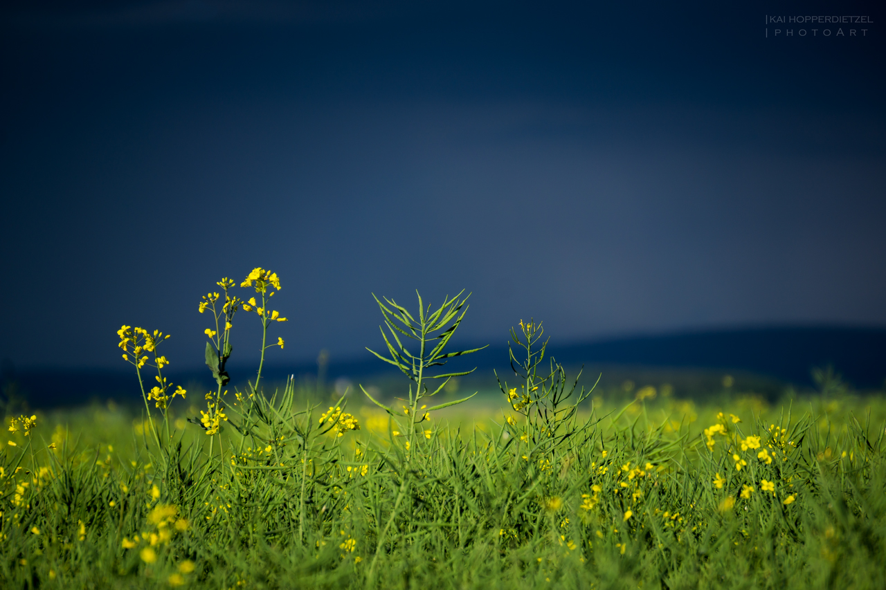 Vor dem Gewitter