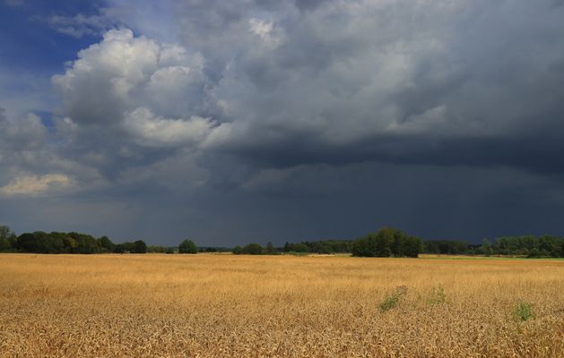 vor dem Gewitter