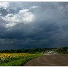 Vor dem Gewitter