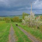 vor dem Gewitter, 2 (antes de la tormenta, 2)