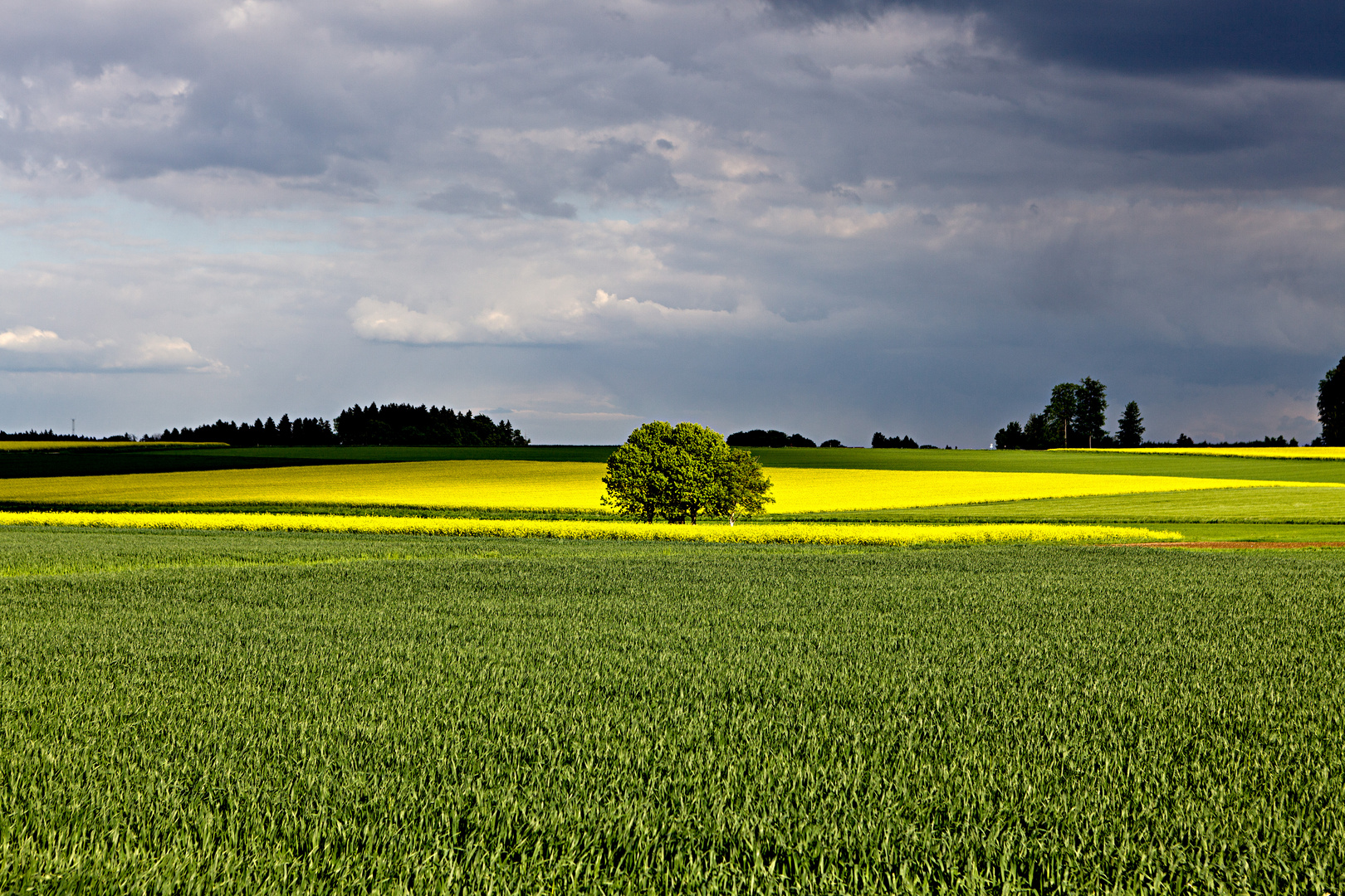 Vor dem Gewitter 2