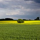 Vor dem Gewitter 2