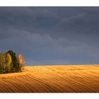 vor dem gewitter 2