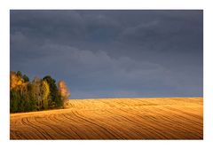 vor dem gewitter 2