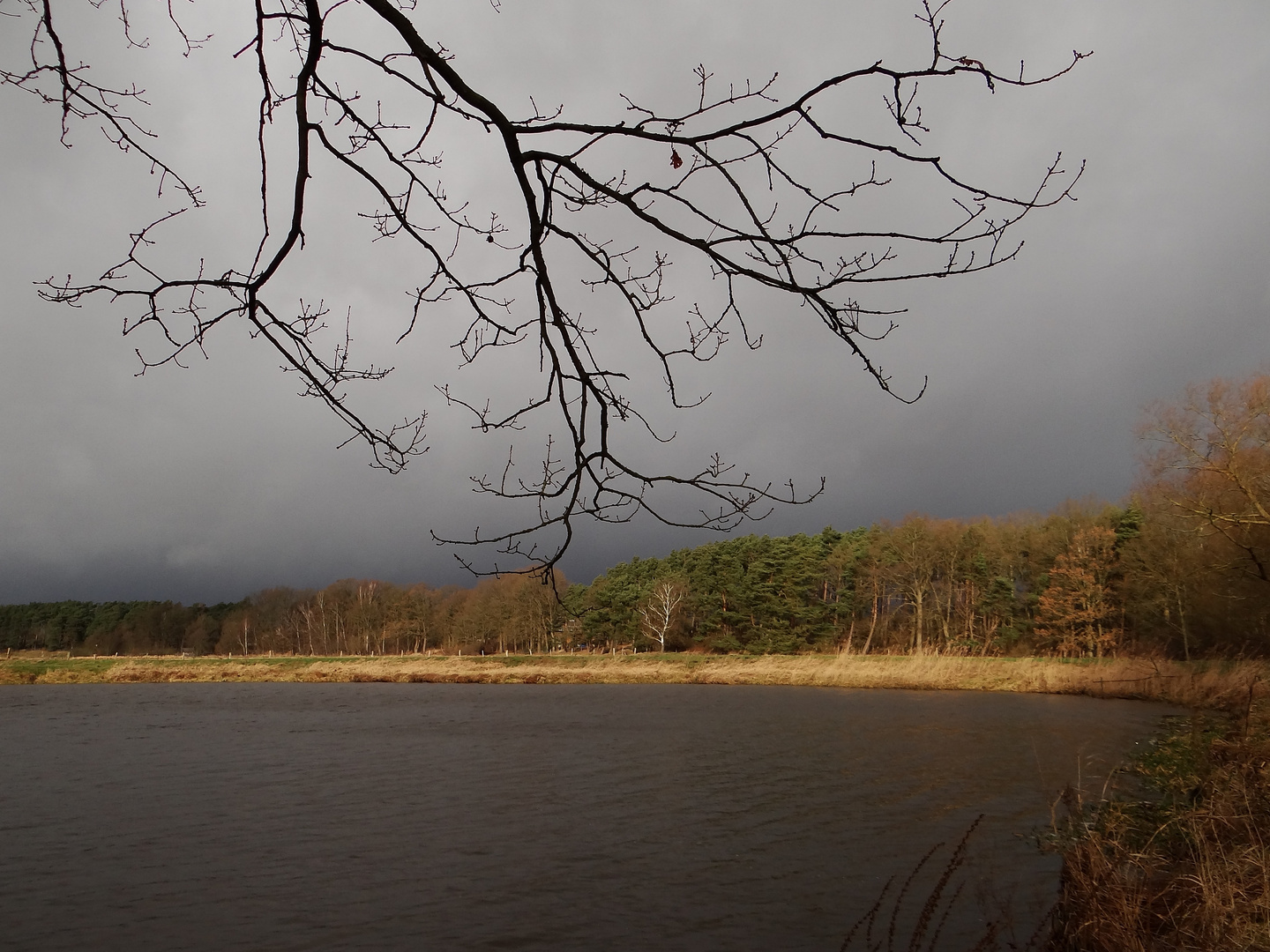 Vor dem Gewitter