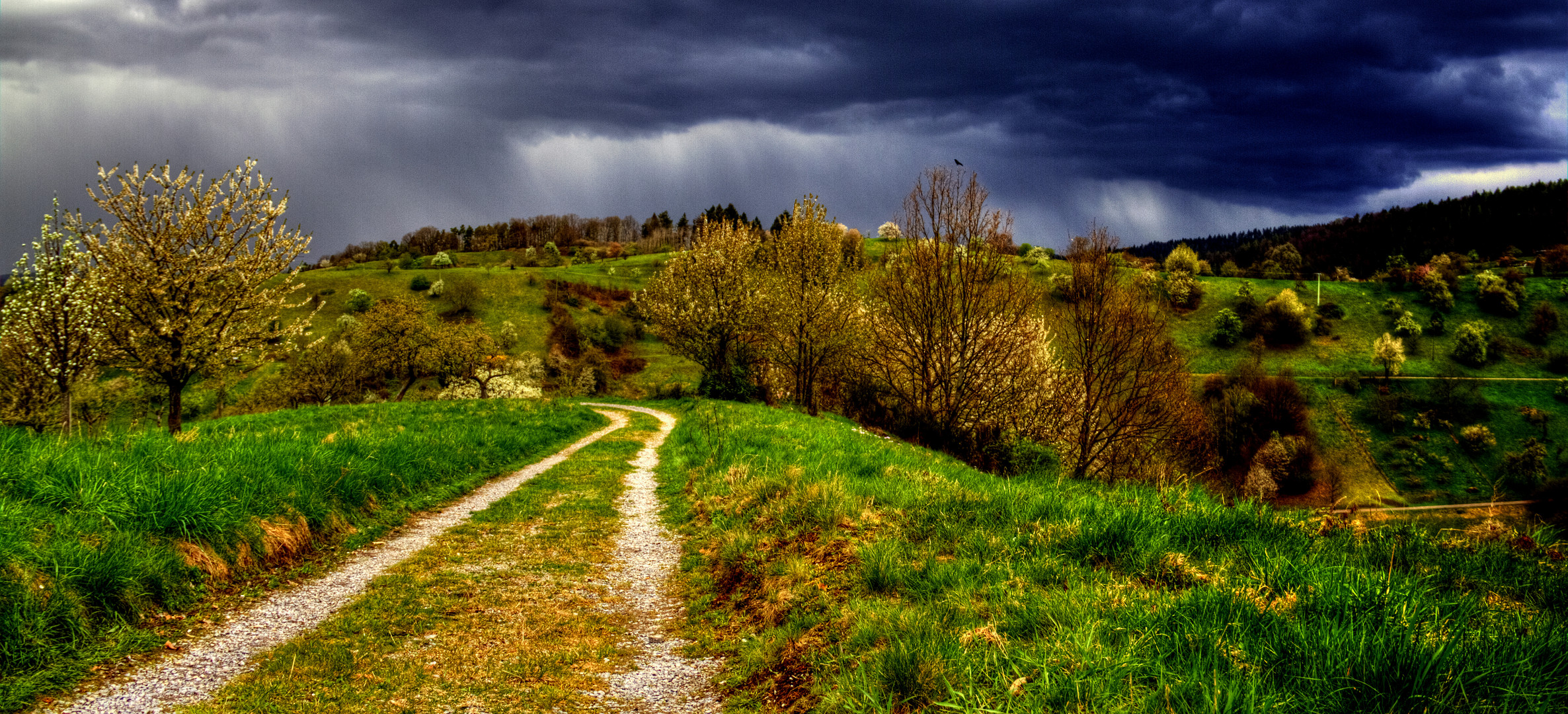 vor dem Gewitter