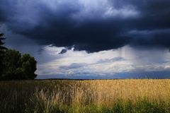 Vor dem Gewitter