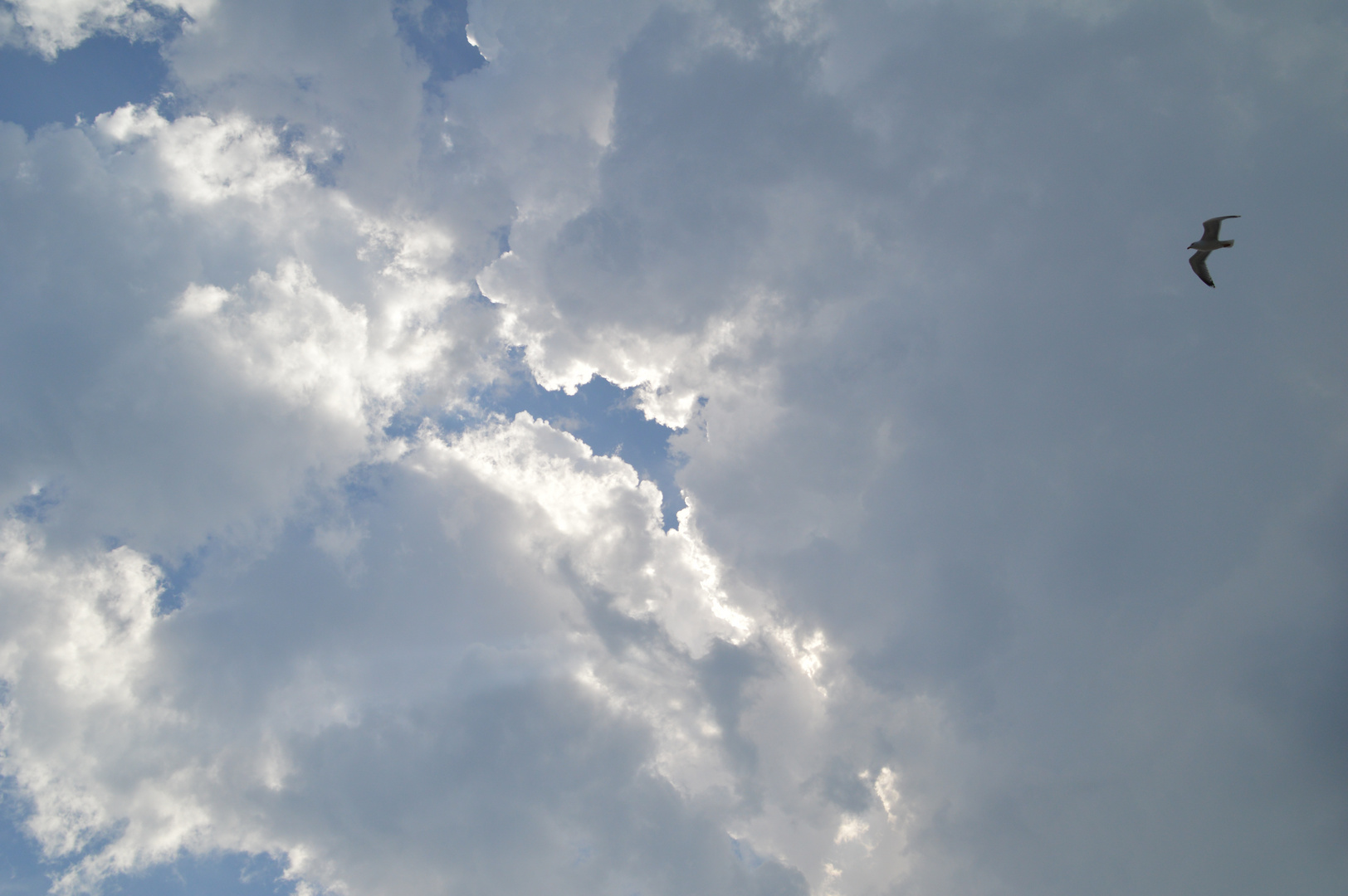 Vor dem Gewitter 