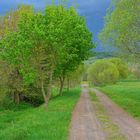 vor dem Gewitter, 3 (antes de la tormenta, 3)