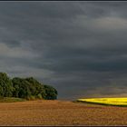 Vor dem Gewitter